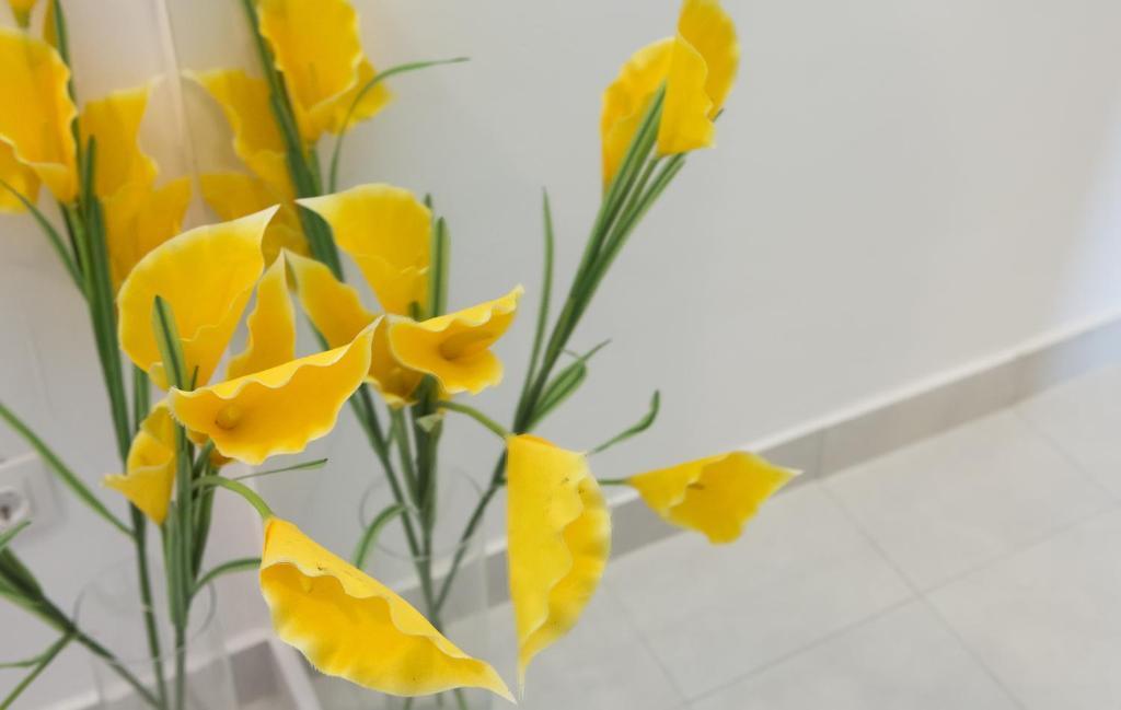 Apartmani Nika Дубровник Номер фото